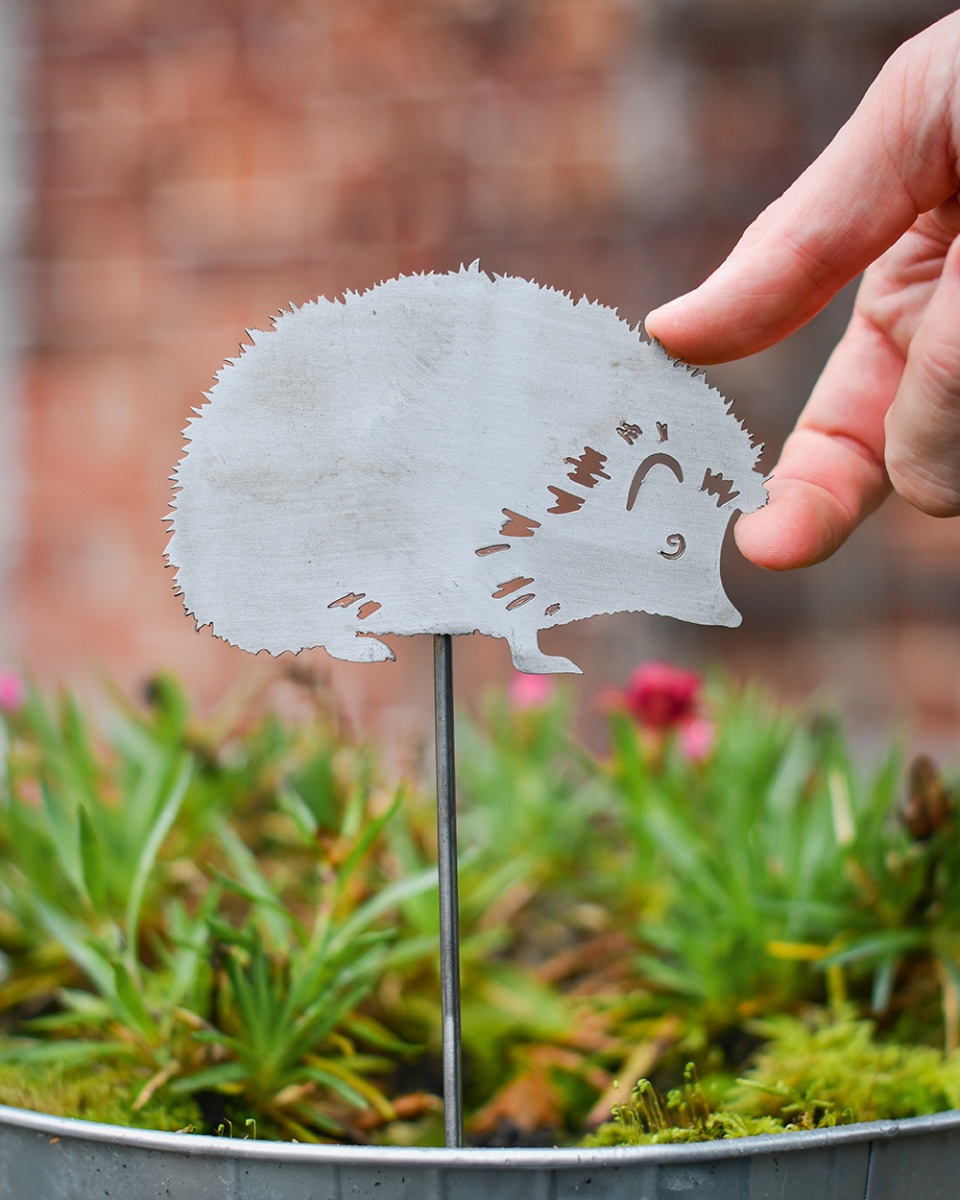 Hedgehog Decorative Plant Pot Spike - Pack Of Two To scale