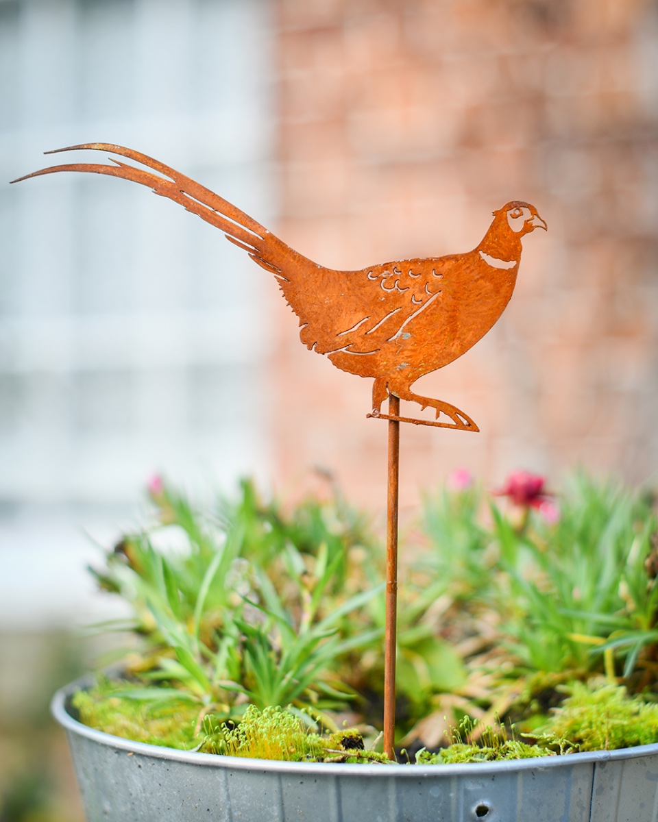 Rustic Pheasant Decorative Plant Pot…