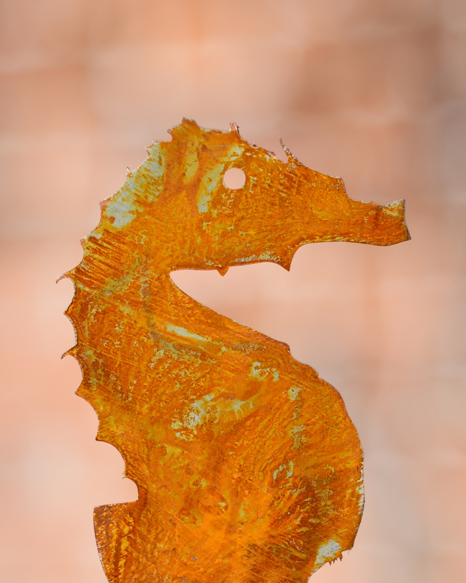 Rustic Seahorse Decorative Plant Pot Spike - Pack Of Two Close Up