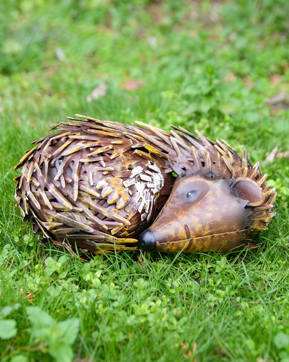 'Thorn' The Steel Sleeping Hedgehog …