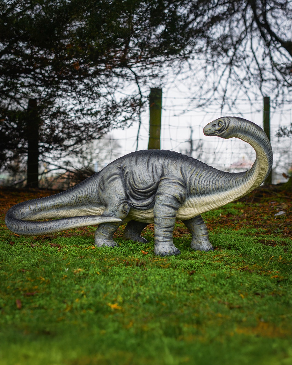 'Apatosaurus' Fibreglass Dinosaur Garden Sculpture