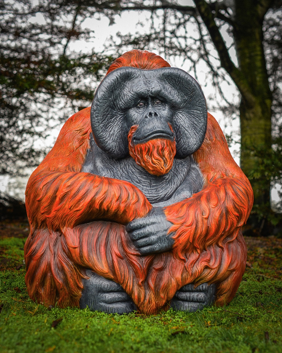 'Borneo' Fibreglass Orangutan Garden Sculpture