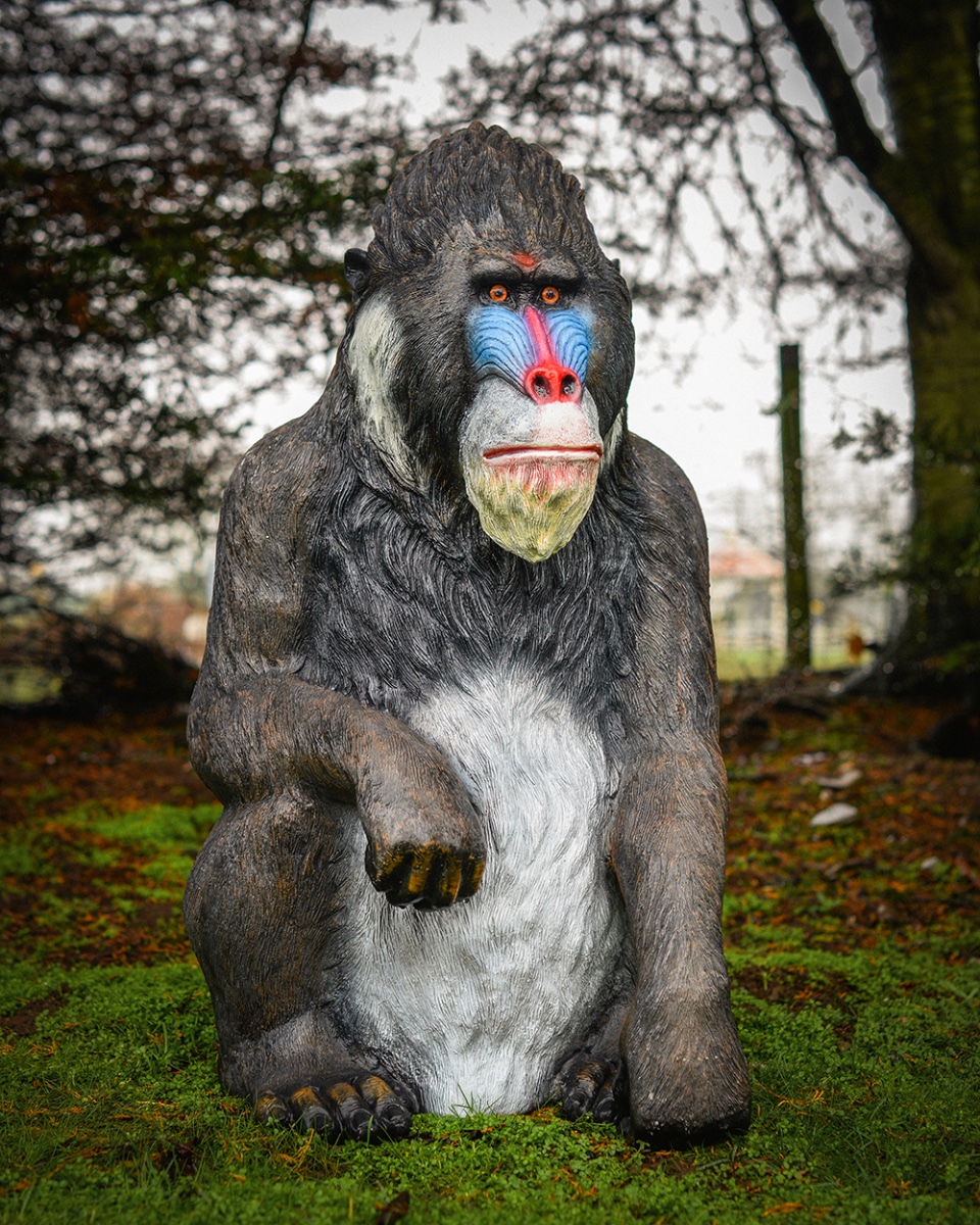 'Sarawak' Fibreglass Mandrill Garden Sculpture