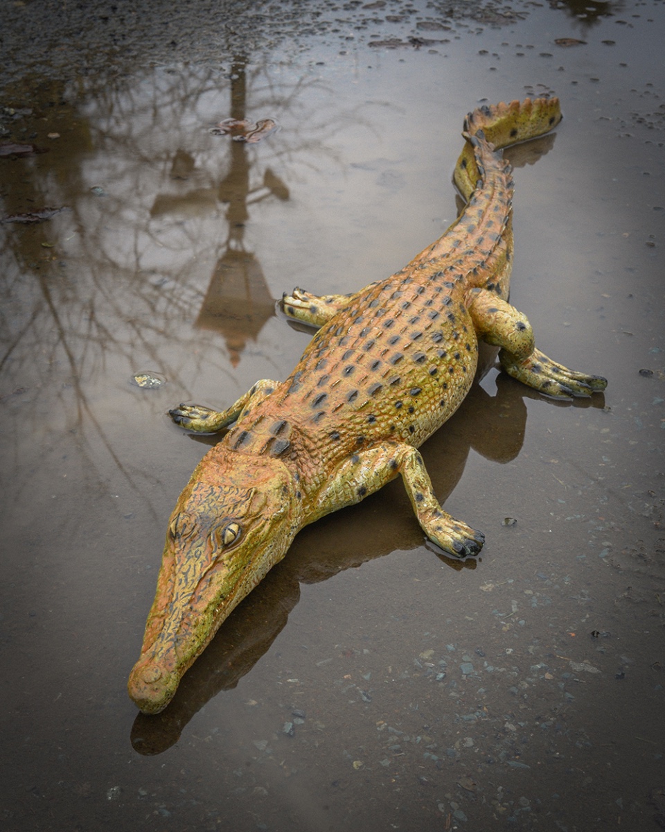 'Swamp Stalker' Fibreglass Crocodile Garden Sculpture