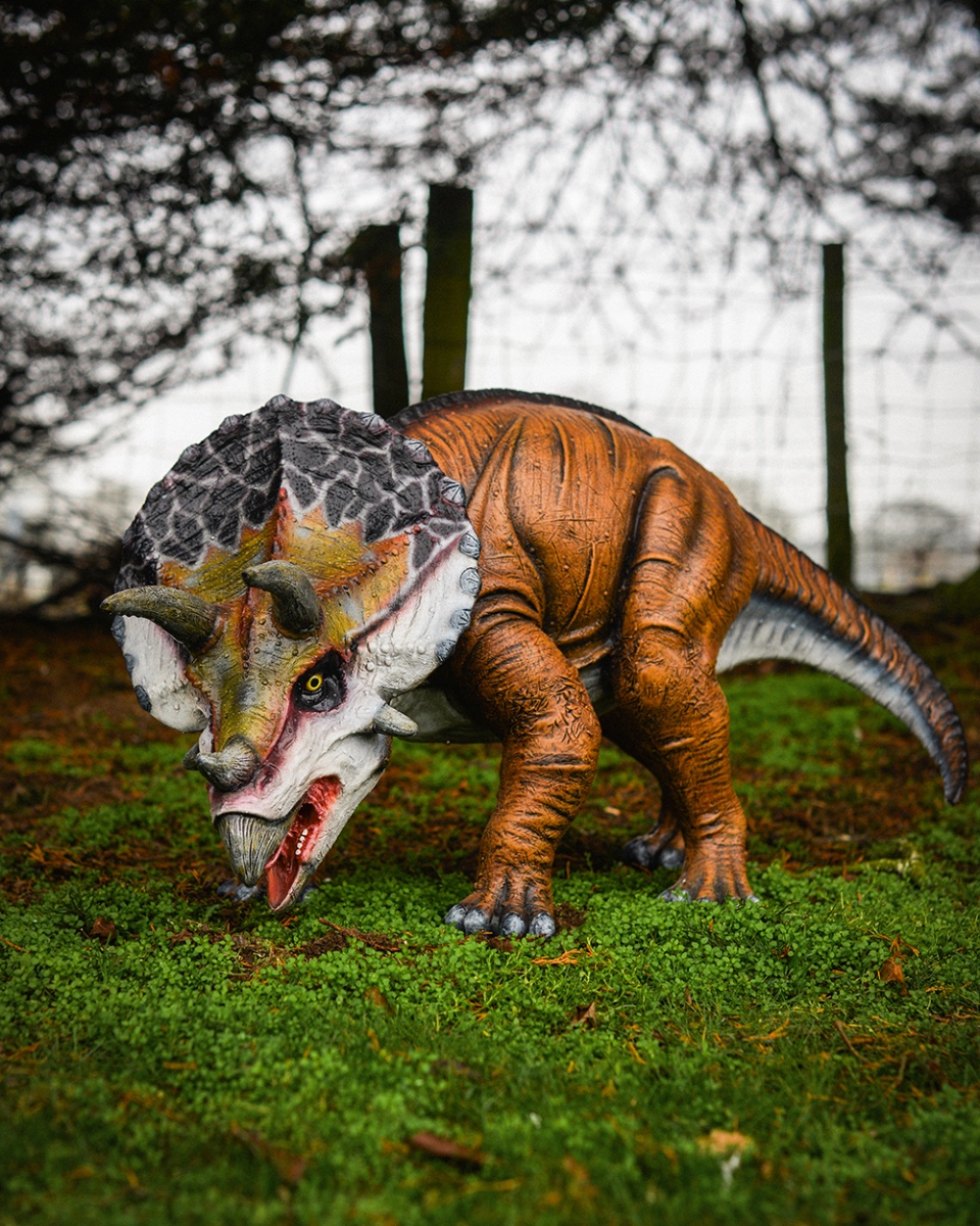 'Triceratops' Fibreglass Dinosaur Garden Sculpture