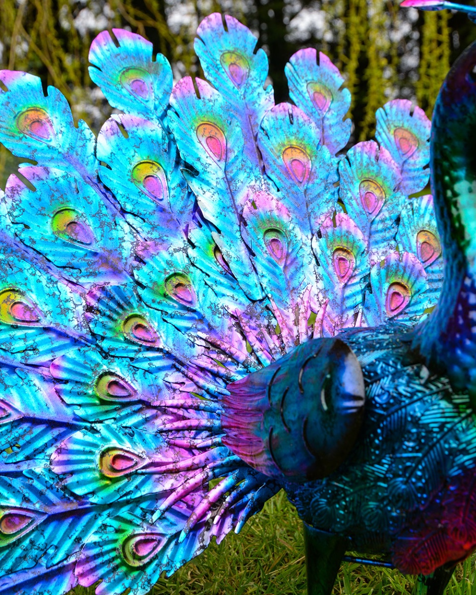Close Up Of The Vibrant Finish From The Majestic Peacock Garden sculpture