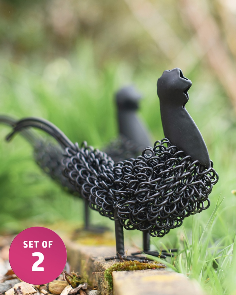 Curly Black Metal Rooster Sculpture - Set Of 2