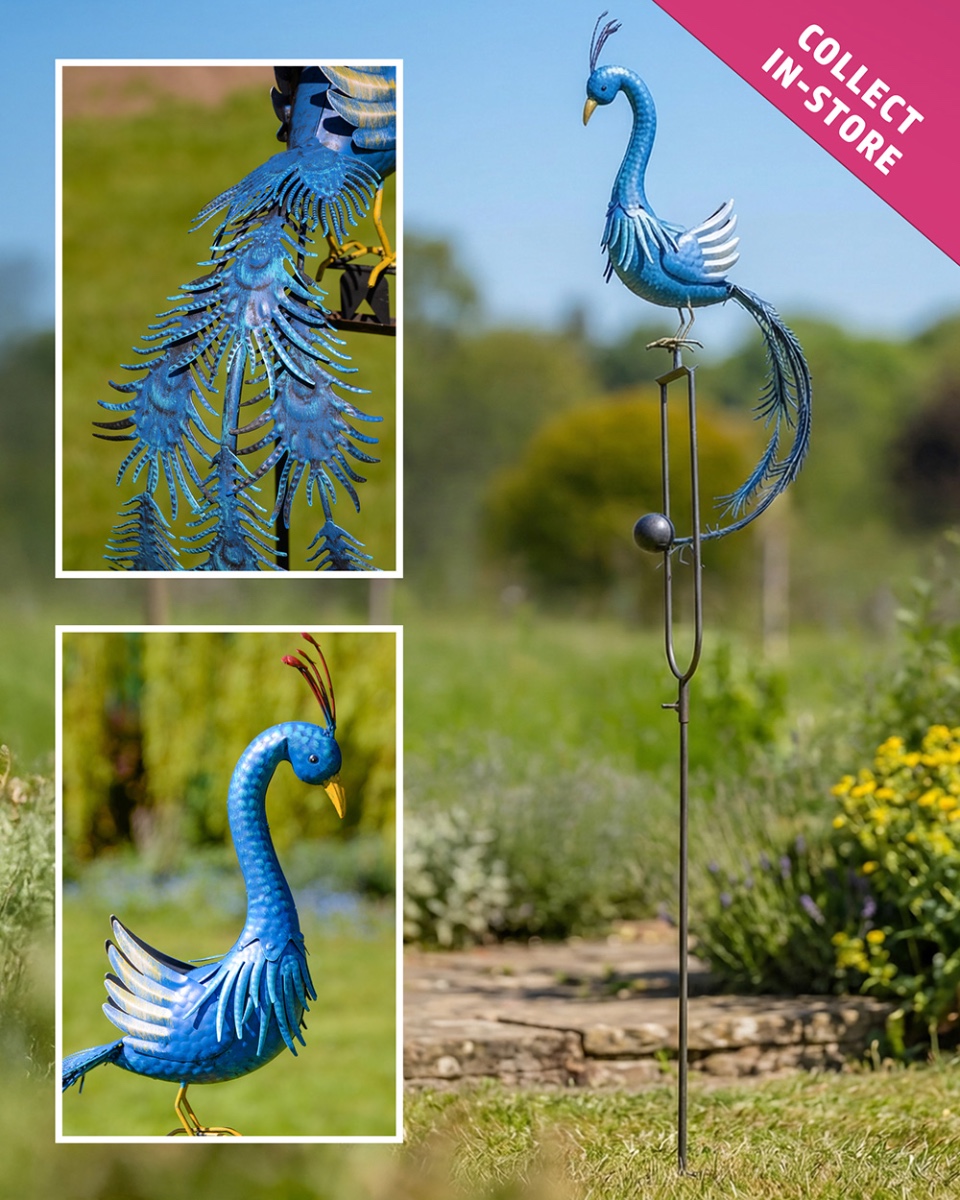 'Pendulum' The Peacock Rocker Garden…