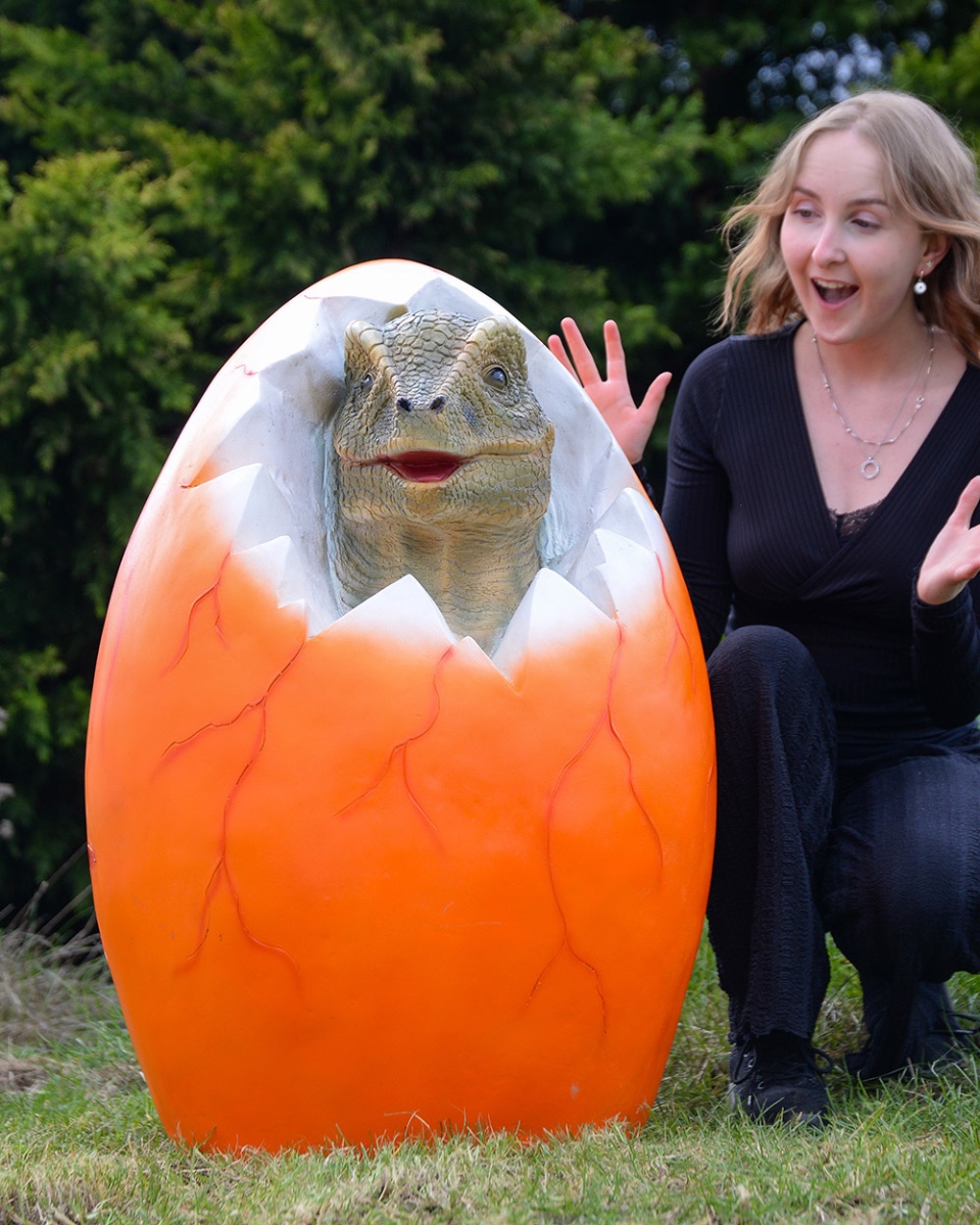 Fibreglass 'Dinosaur Hatchling' Fami…
