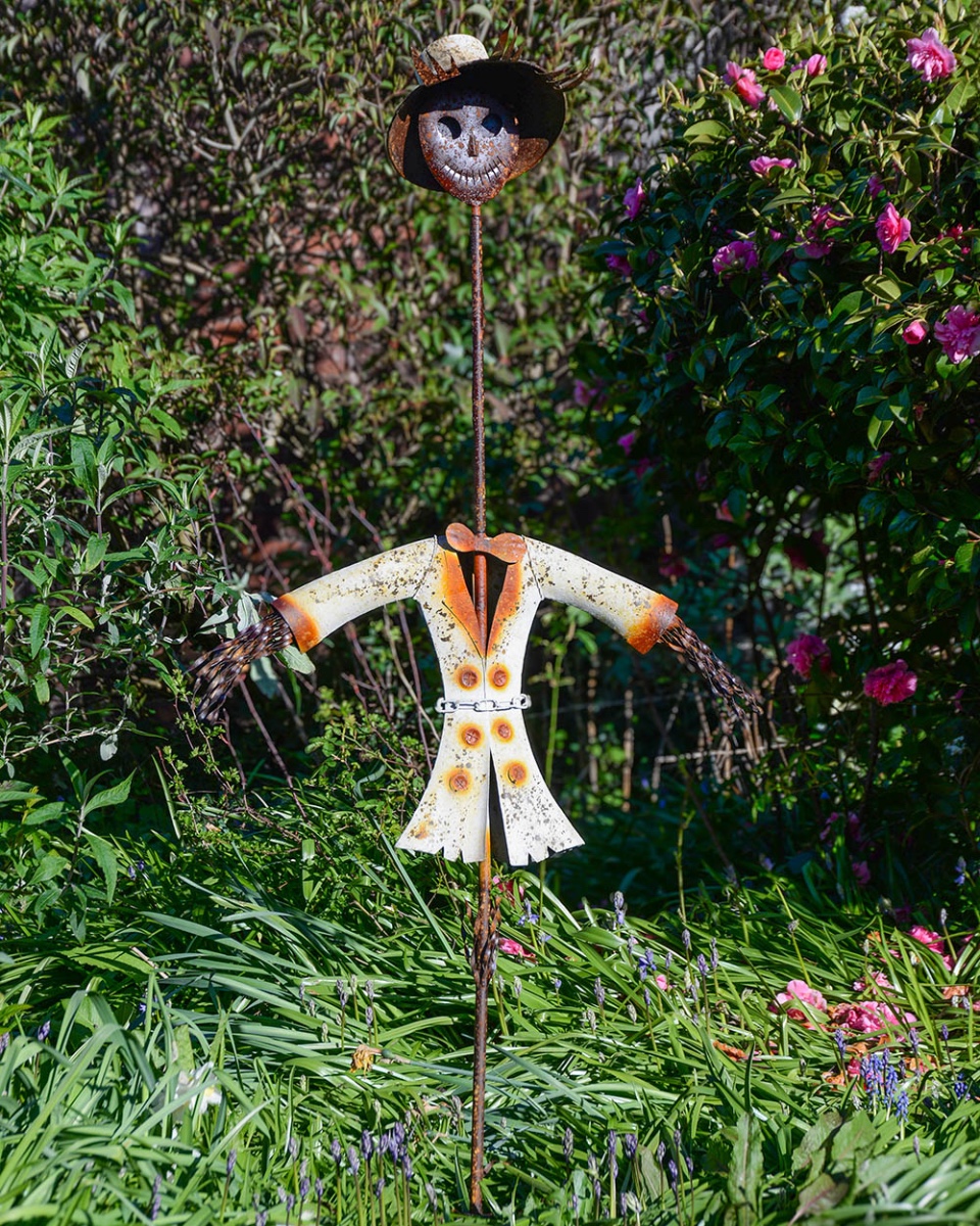 'Grinning Gatekeeper' Garden Lawn Sp…
