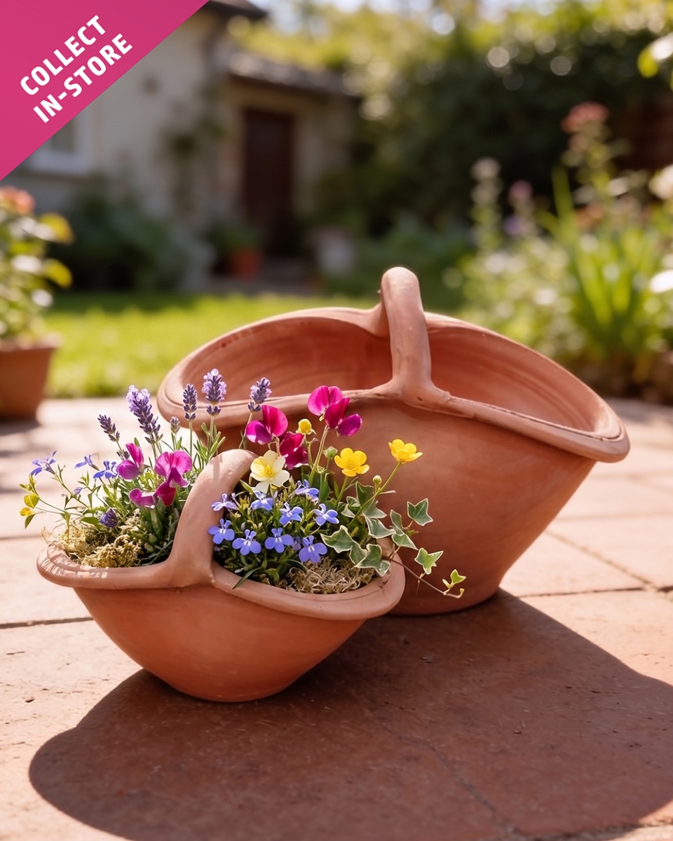 Handcrafted Terracotta Basket Planter - Collection Only