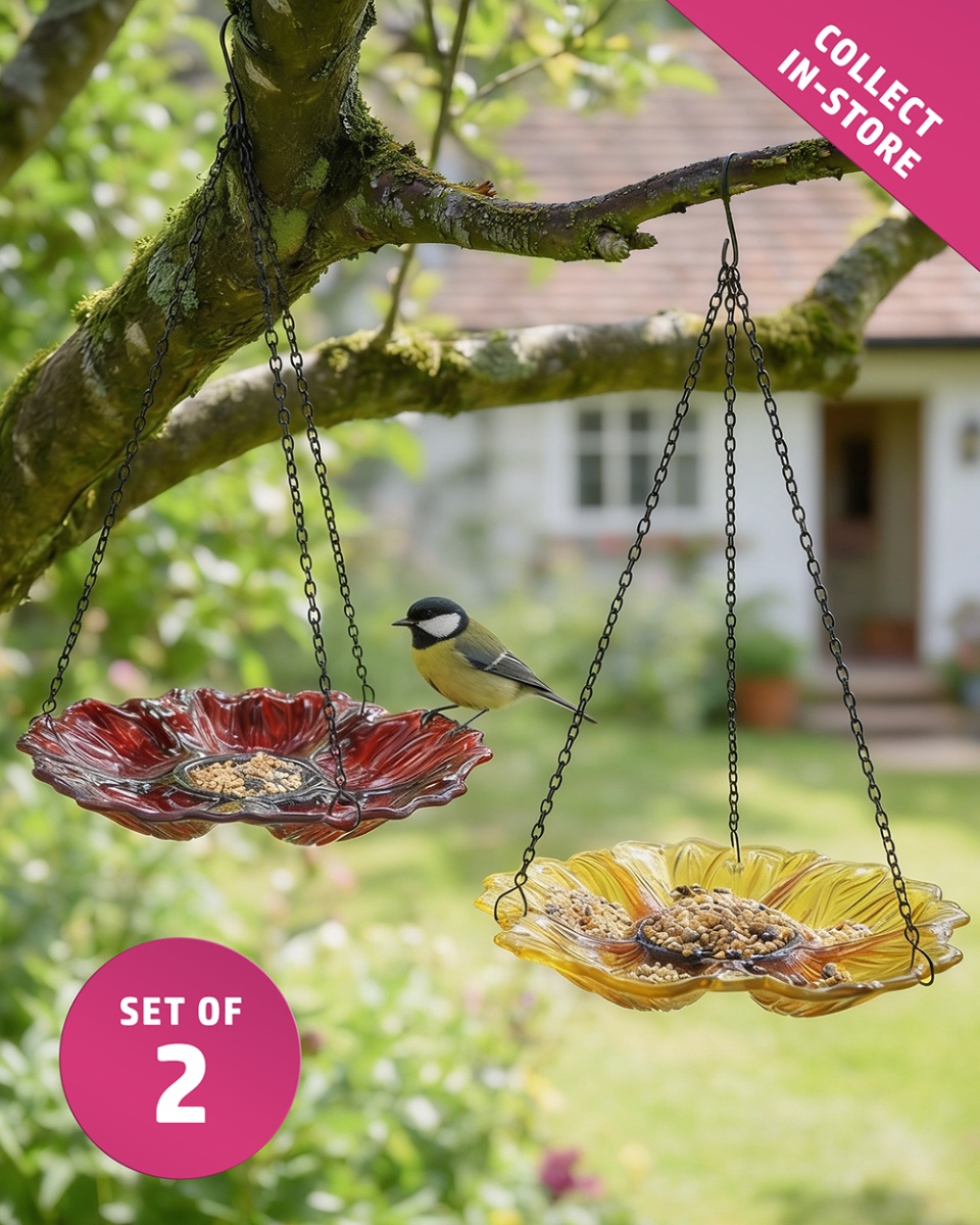 Hanging Poppy & Sunflower Bird Feede…