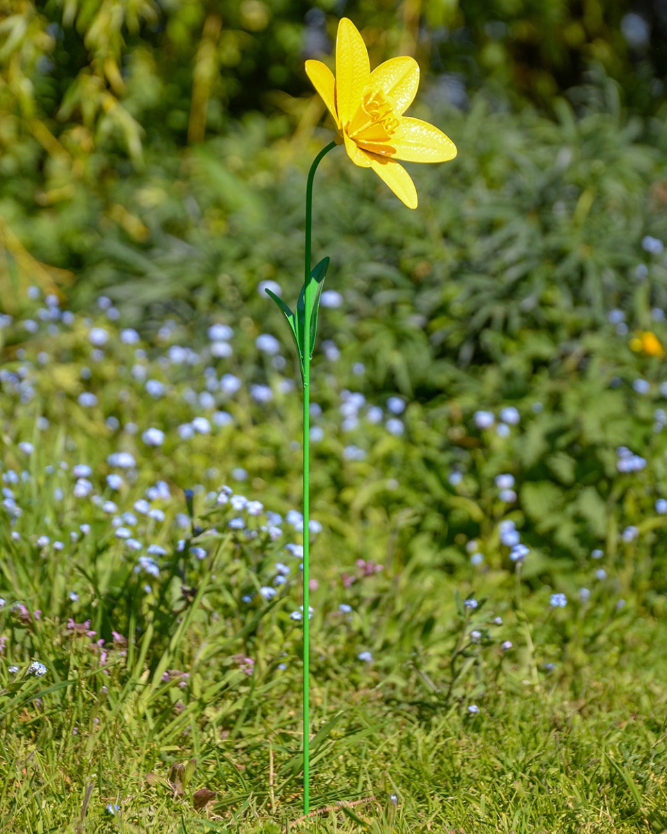 Ornate Daffodil Garden Lawn Spike