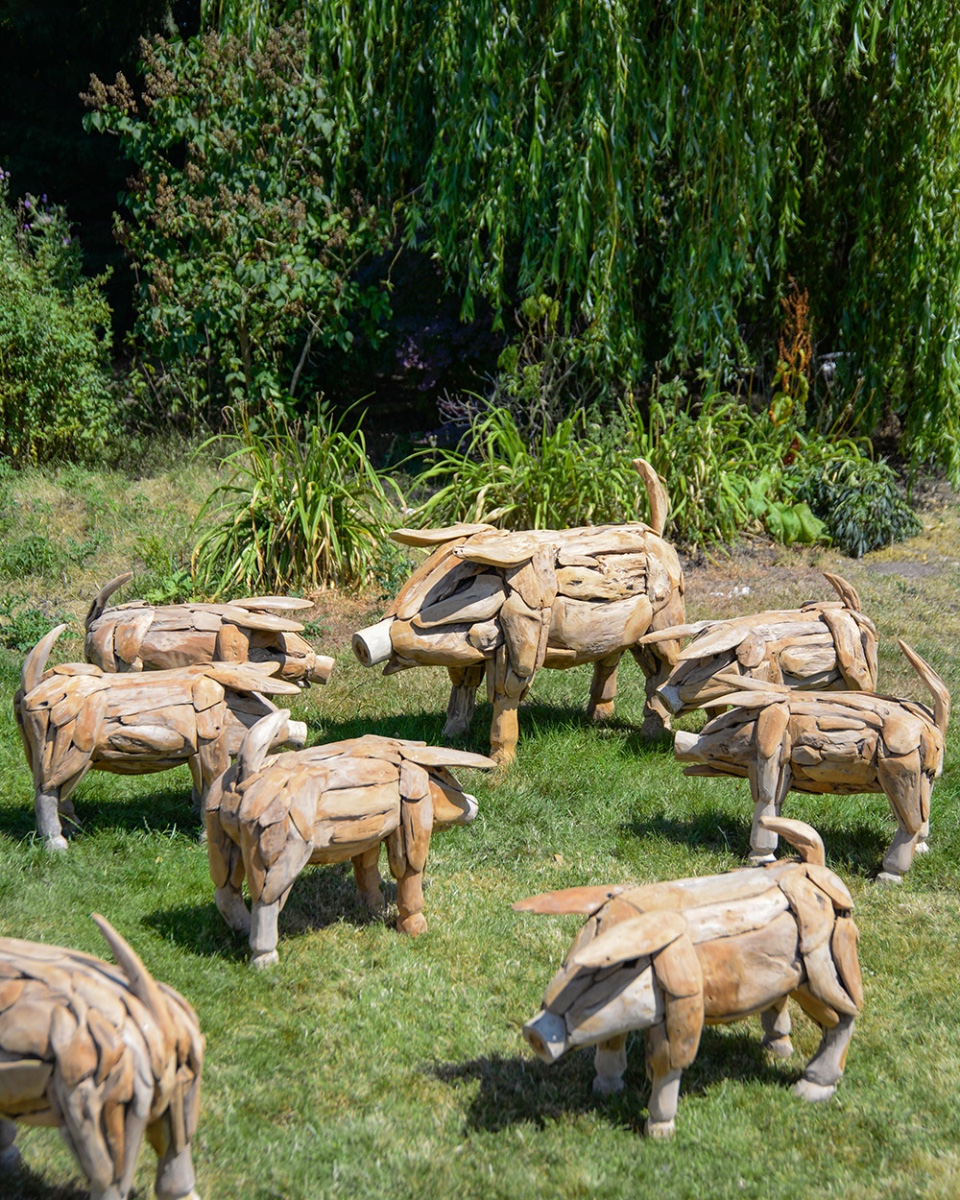 Teak Driftwood 'Hickory' The Pig Sculpture