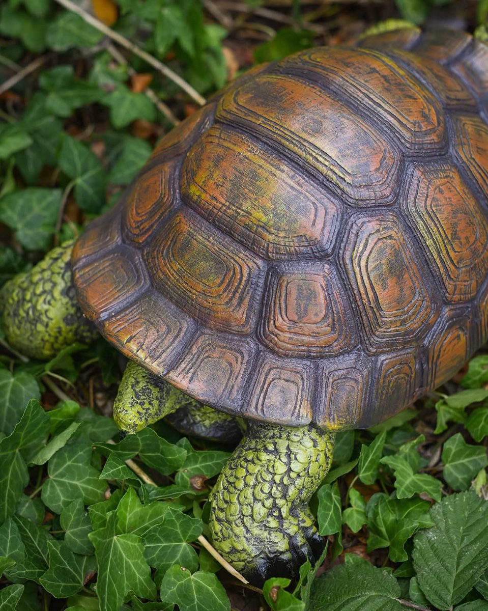 Close Up Details Of The 57cm Tortoise Garden Sculpture