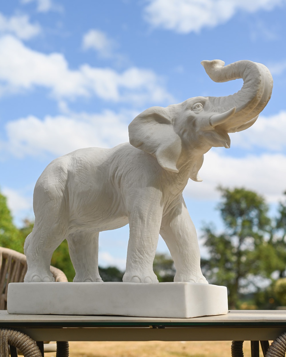 Marble Effect 'Alabaster' The Elepha…