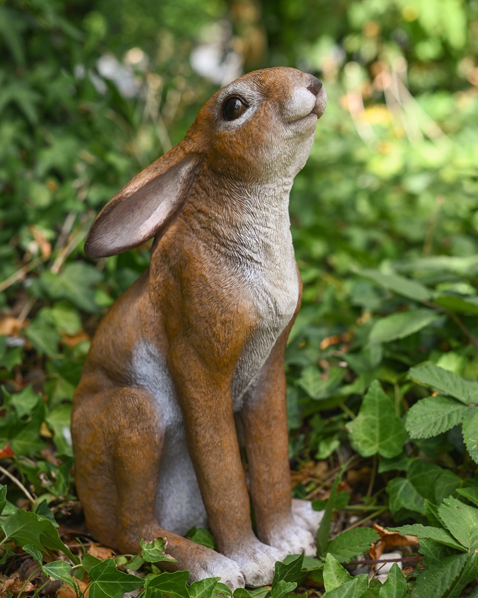 Resin 'Dewdrop' The Stargazing Hare Garden Sculpture