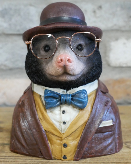 'Burrowing Bookkeeper' Resin Mole Bust